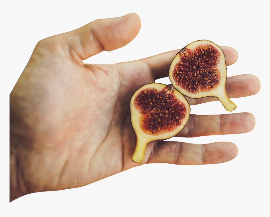 Carica Fruit Sliced - Common Fig, HD Png Download, Free Download