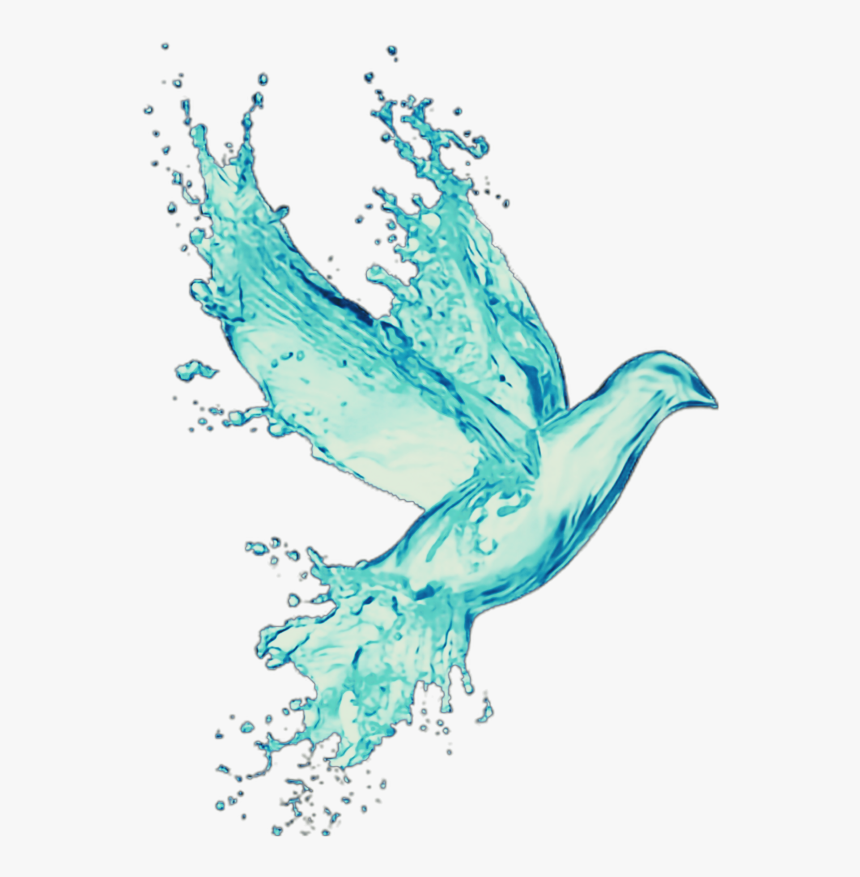 #bird #water #splash #colormix - Dove Under Water Drawing, HD Png Download, Free Download