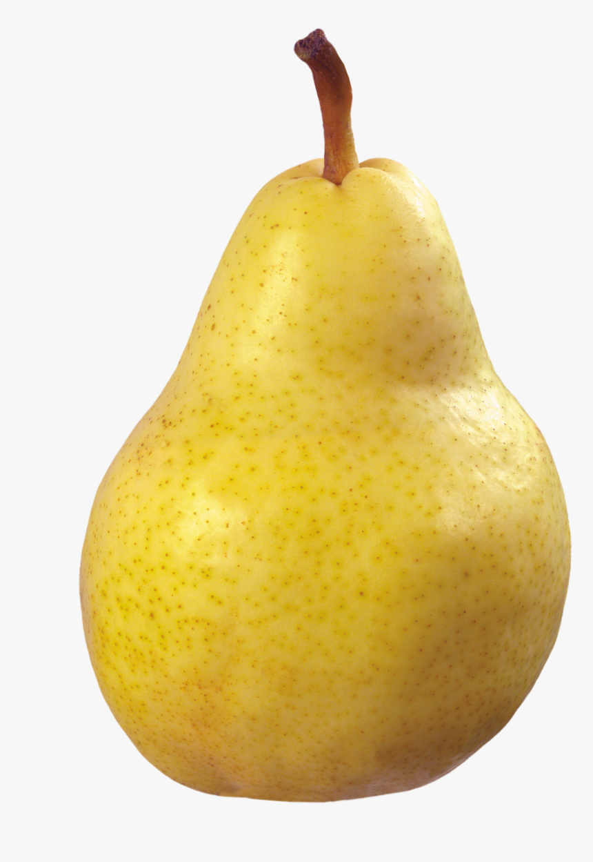 Asian Pear Fruit - Transparent Background Pear Transparent, HD Png Download, Free Download