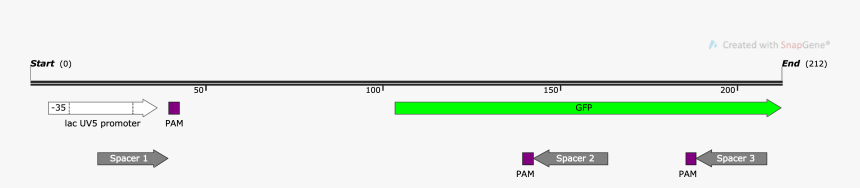 Parallel, HD Png Download, Free Download