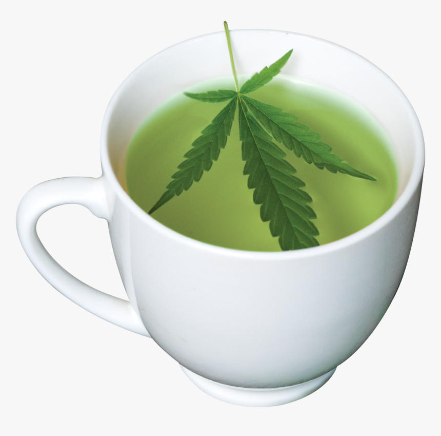 Benefits Of Cbd Tea, HD Png Download, Free Download