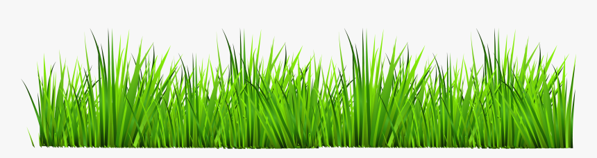 Grass Transparent Background - Grass Clipart, HD Png Download, Free Download