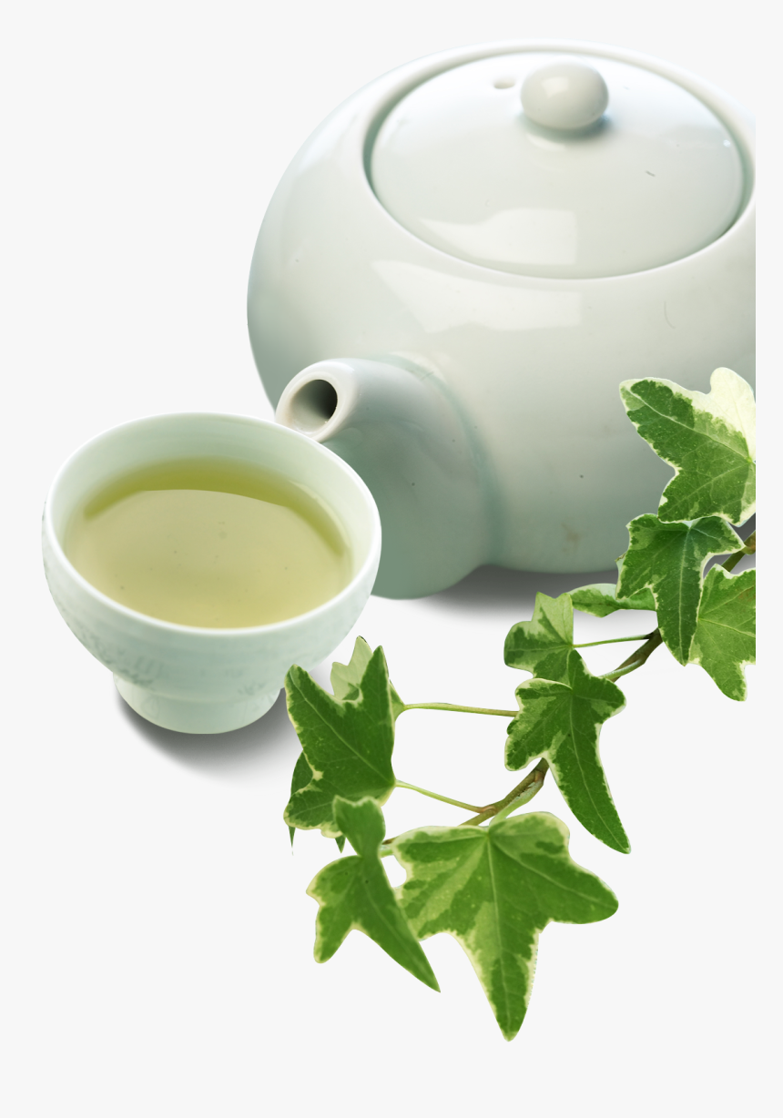 Green Tea Cup Chawan Teaware - 茶道, HD Png Download, Free Download