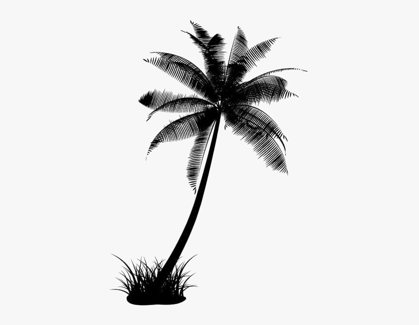 Black Coconut Tree Transparent - Coconut Tree Silhouette Png, Png Download, Free Download