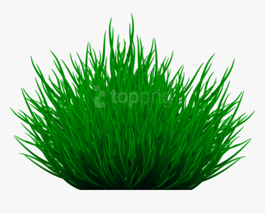 Free Png Download Grass Path Png Images Background - Grass Background, Transparent Png, Free Download