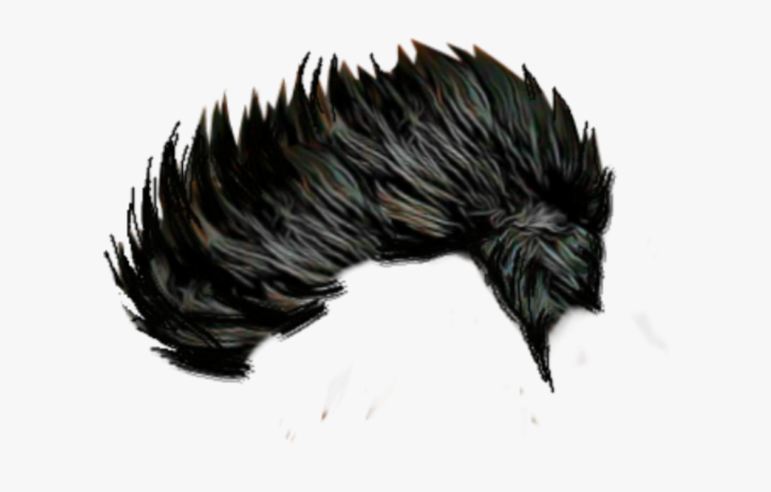 Hair Clipart Cb Clip Stock Cb Hair Png Vector, Clipart, - Hair Style For Editing, Transparent Png, Free Download