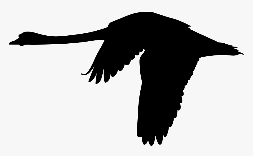 Transparent Goose Clipart Black And White - Flying Swan Clip Art, HD Png Download, Free Download