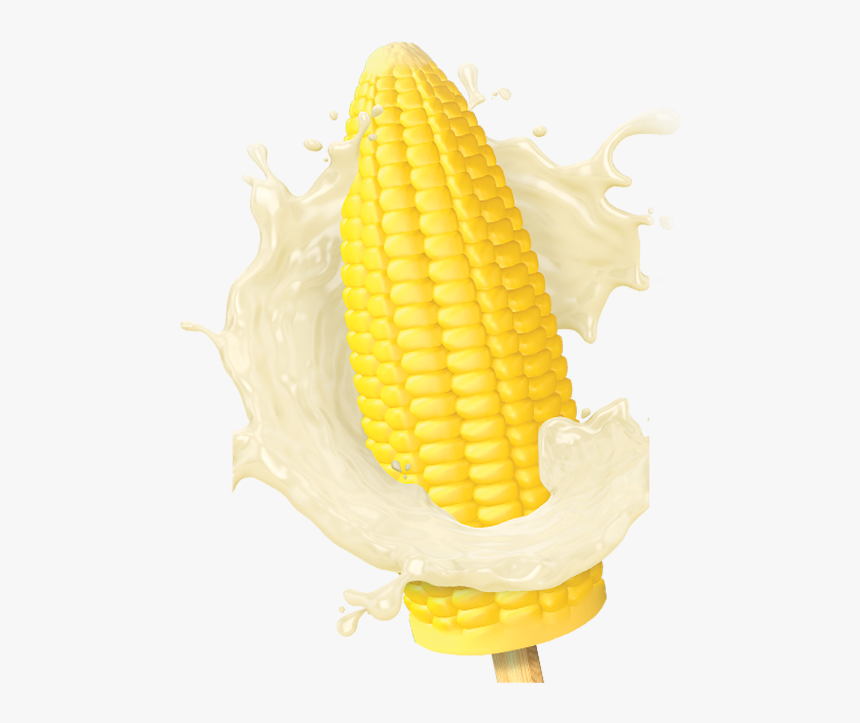 Sweet Corn - Corn On The Cob, HD Png Download, Free Download
