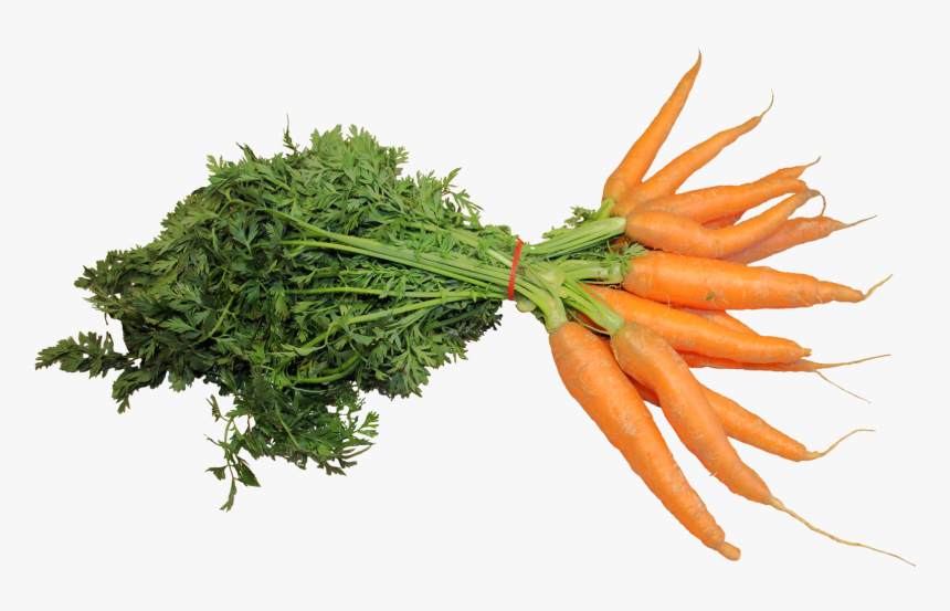 Fresh Carrot Png, Transparent Png, Free Download