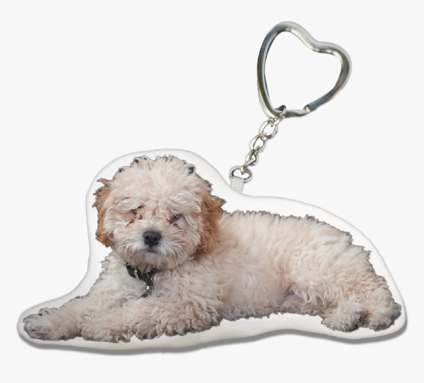 Poodle Key-chain - Glen Of Imaal Terrier, HD Png Download, Free Download