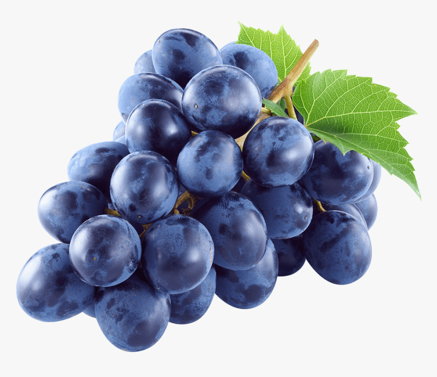 Black Grapes"
 Class= - Grape Stock, HD Png Download, Free Download