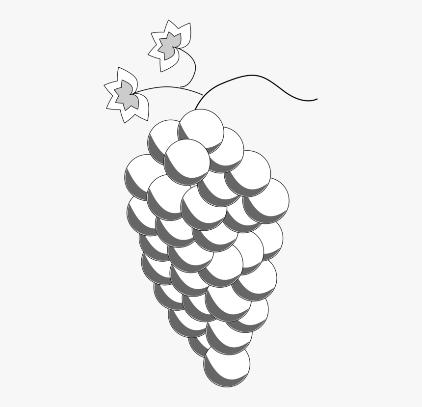 Line Art,flower,leaf - Angoor Drawing, HD Png Download, Free Download