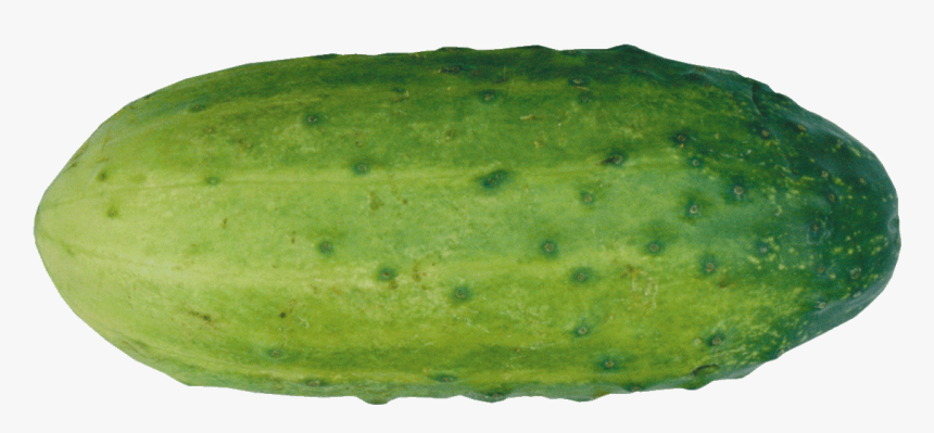 Single Cucumber Free Png Image - Gourd, Transparent Png, Free Download