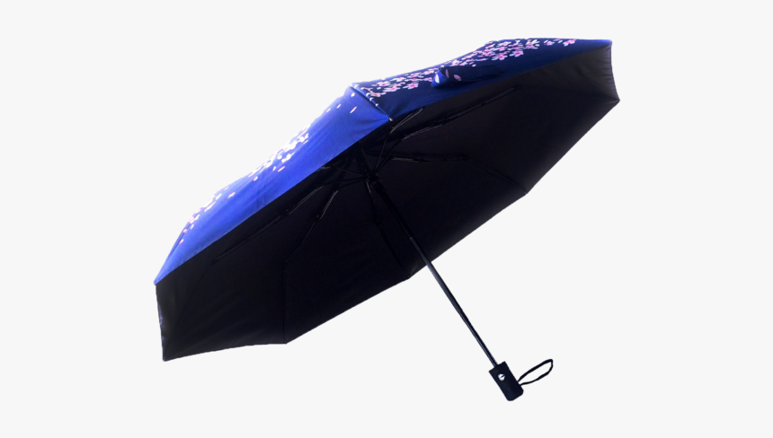 Umbrella, HD Png Download, Free Download