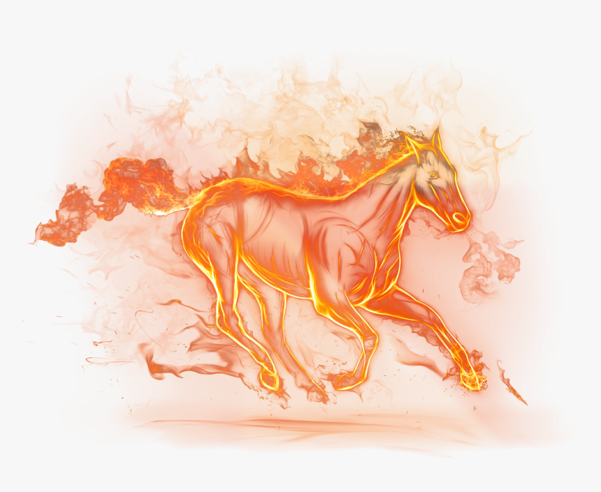 Fire Horse White Background, HD Png Download, Free Download