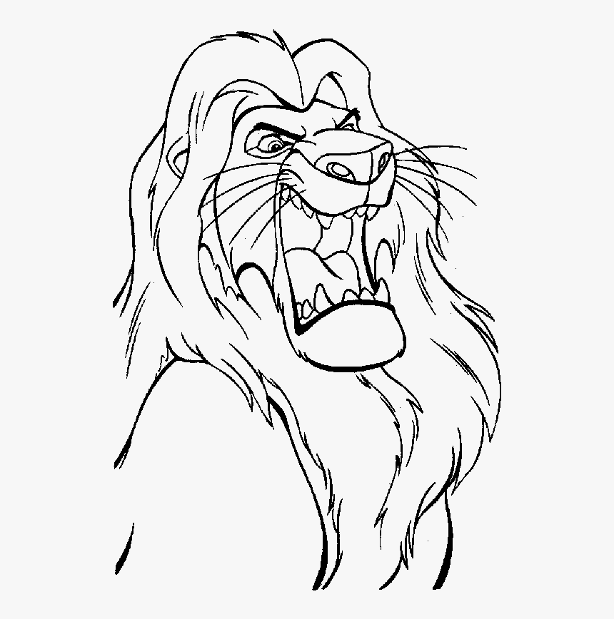 Lion Coloring Pages, HD Png Download, Free Download