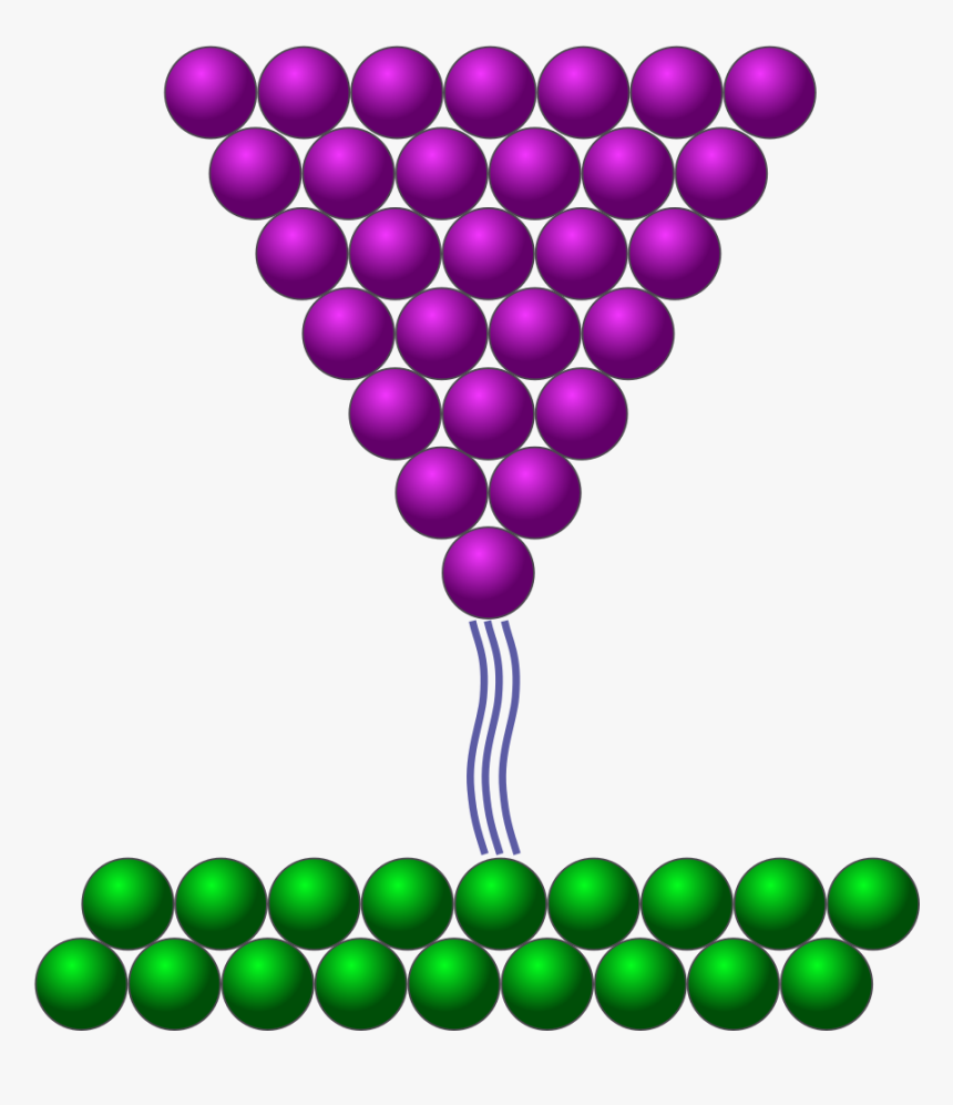 Scanning Tunneling Microscope Clipart , Png Download - Tip Distance To Surface Stm, Transparent Png, Free Download