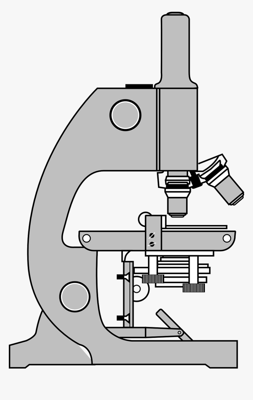 Gambar Mikroskop Sketsa, HD Png Download, Free Download