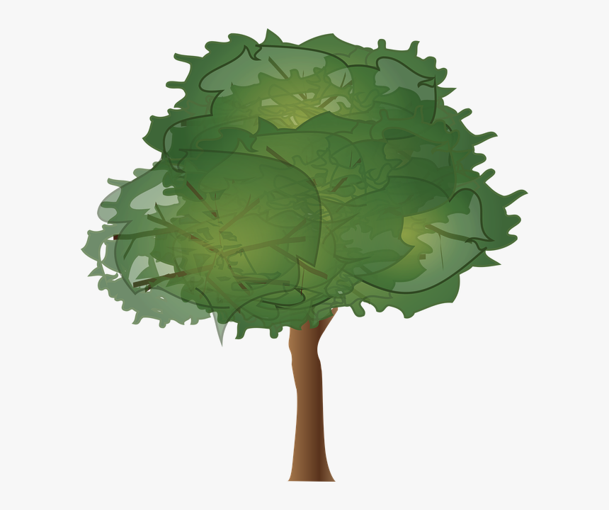 Tree Elevation, HD Png Download, Free Download