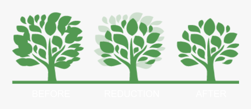 G&v Tree And Landscaping Services - Illustration, HD Png Download, Free Download