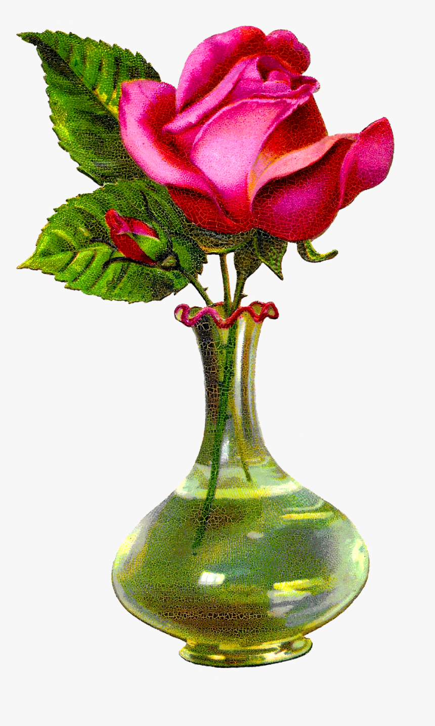 Transparent Vase Clipart - Rose Flower With Vase, HD Png Download, Free Download