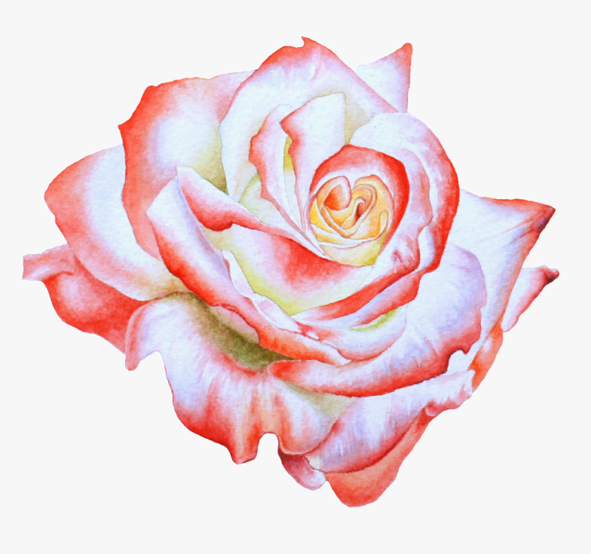 Hand Painted Side View Rose Flower Png Transparent - Background Flowers Png Transparent, Png Download, Free Download