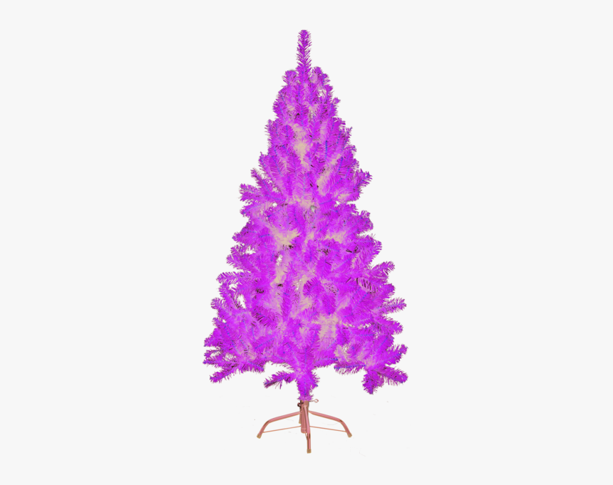 Christmas Tree Nebraska - Christmas Tree, HD Png Download, Free Download