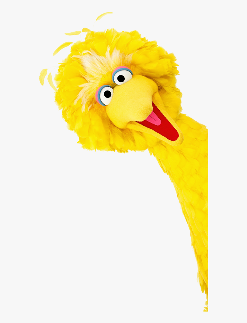 Big Bird Donate - Big Bird No Background, HD Png Download, Free Download