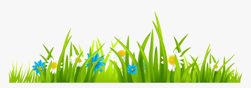 Clipart Border Spring - Grass Clipart, HD Png Download, Free Download