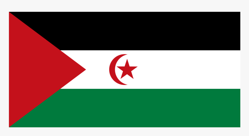 Eh Western Sahara Flag Icon - Palestine Flag, HD Png Download, Free Download