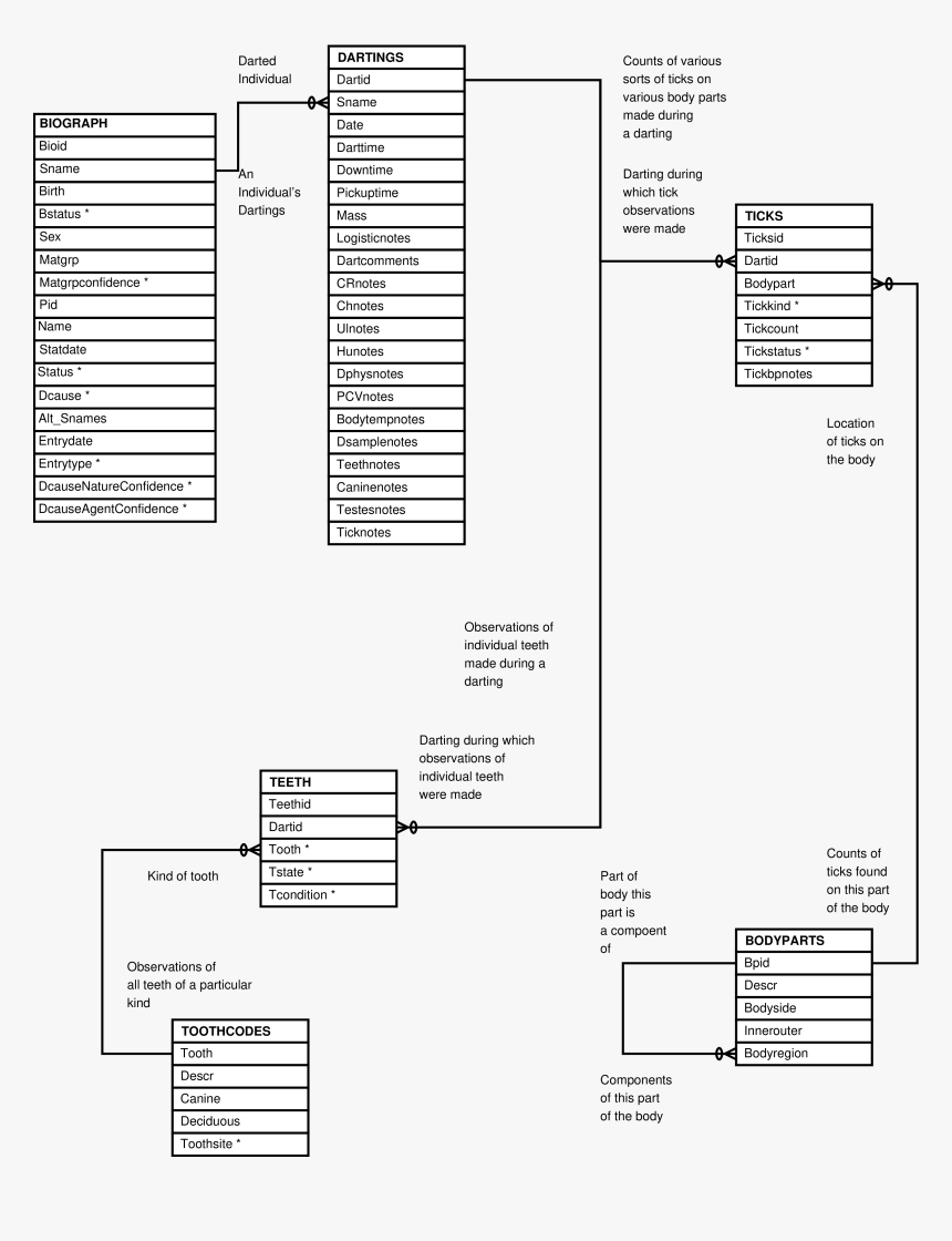 Diagram, HD Png Download, Free Download