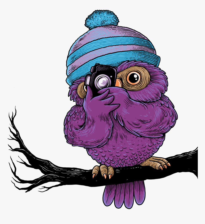 Phil The Owl Photographer Has A Bird"s Eye View For - Photographer Cartoon Logo, HD Png Download, Free Download
