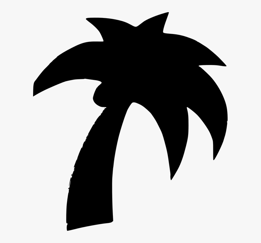 Palm Trees, HD Png Download, Free Download