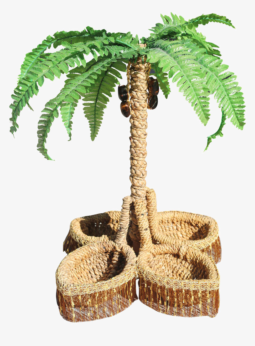 Beach Coconut Tree Png, Transparent Png, Free Download