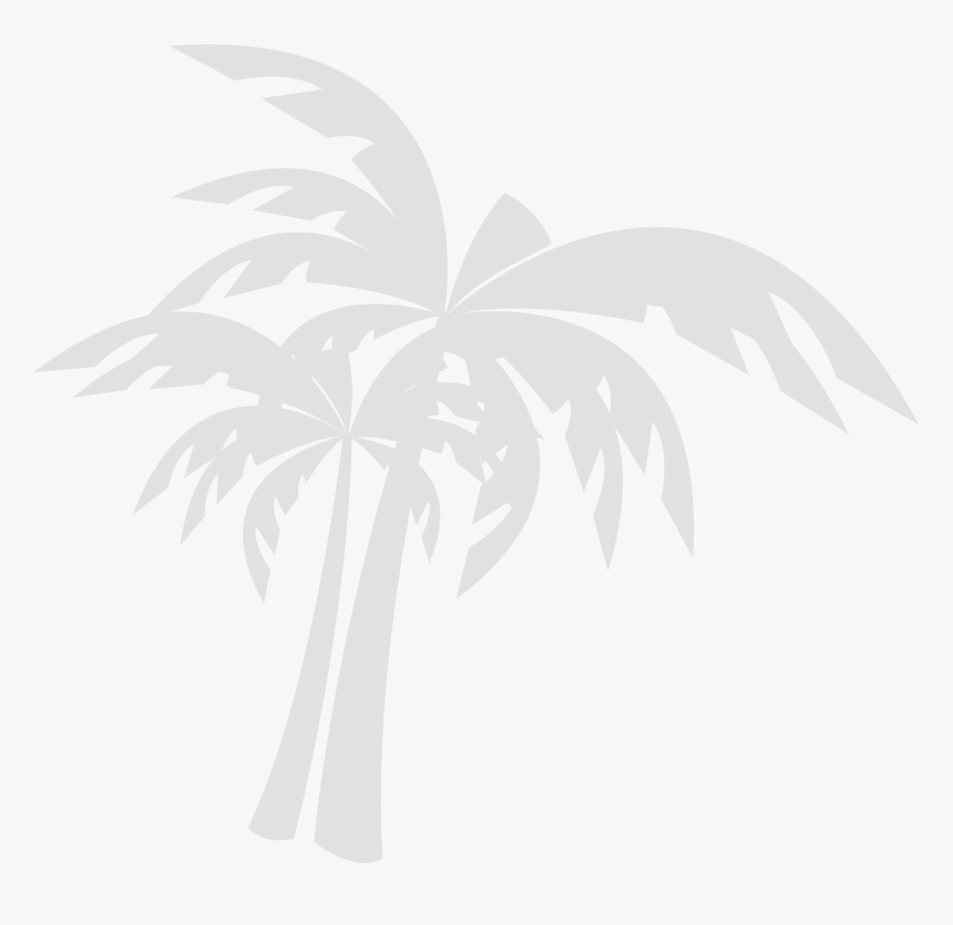 Desert Palm, HD Png Download, Free Download