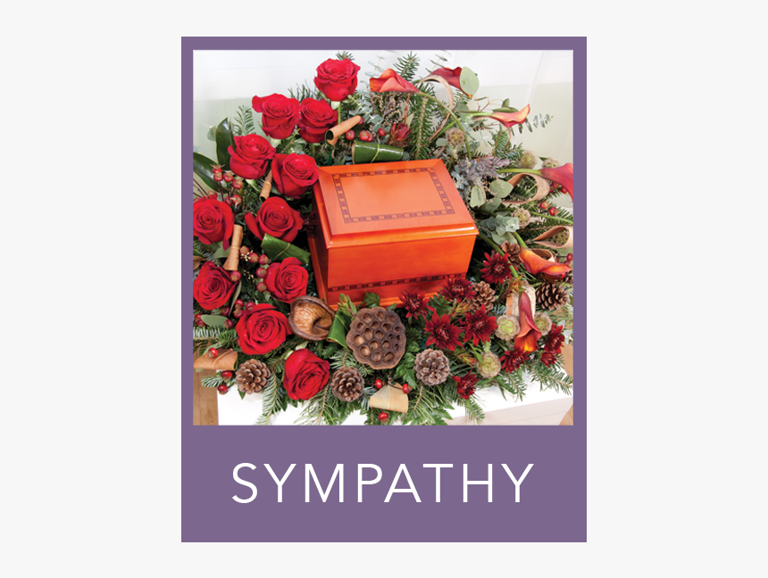 Sympathy - Garden Roses, HD Png Download, Free Download