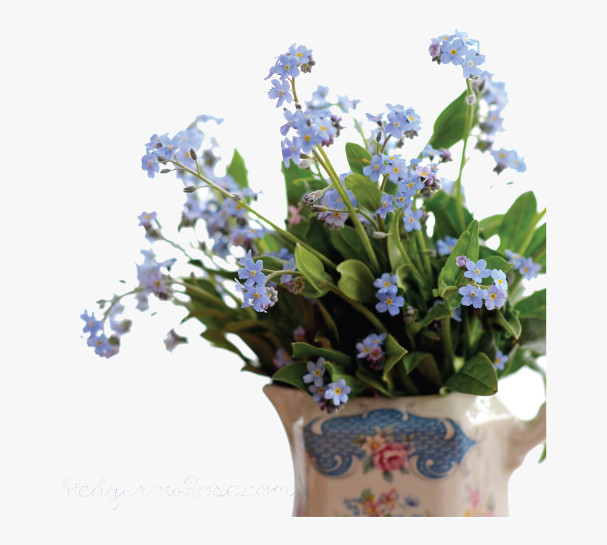 Forget Me Not Png Pic - Forget Me Not .png, Transparent Png, Free Download