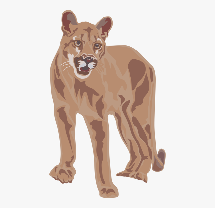 Wildlife,puma,big Cats - Cougar Clip Art, HD Png Download, Free Download