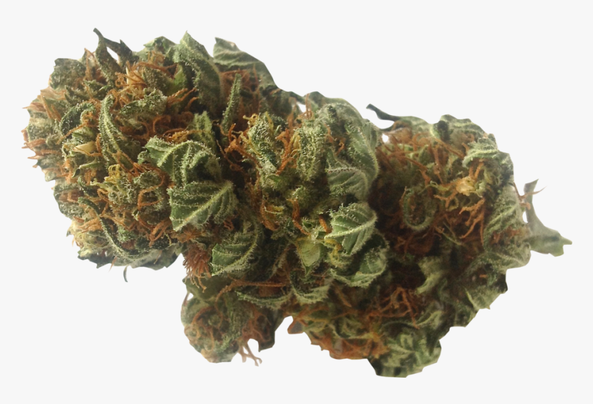 Weed Nugget Png, Transparent Png, Free Download