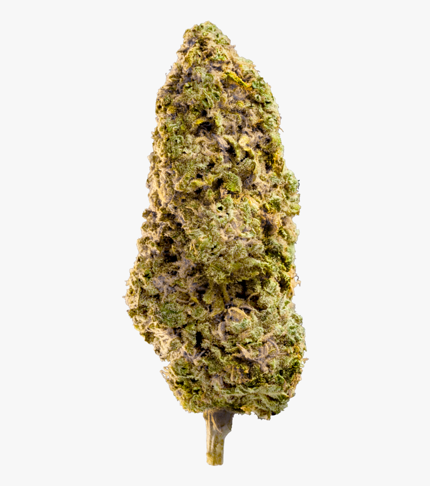 Fast Master Bud Marijuana - Fast Master Strain, HD Png Download, Free Download