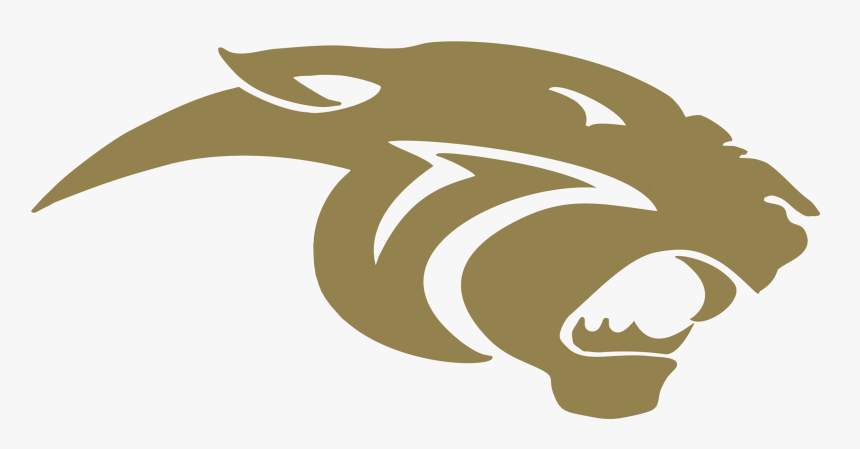 Countryside Cougars Football, HD Png Download, Free Download