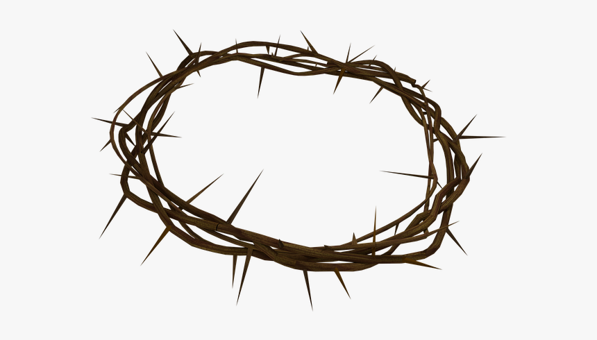 Crown Of Thorns Transparent, HD Png Download, Free Download