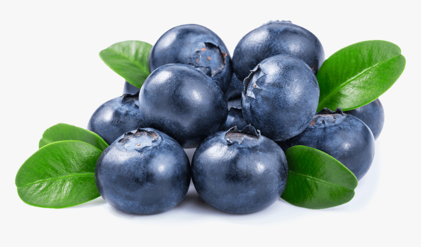 Transparent Blueberries Clipart - Imagenes De Blueberry, HD Png Download, Free Download