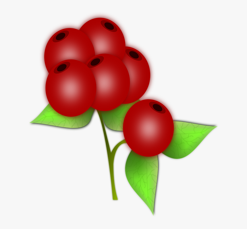 Red Berry Clipart, HD Png Download, Free Download