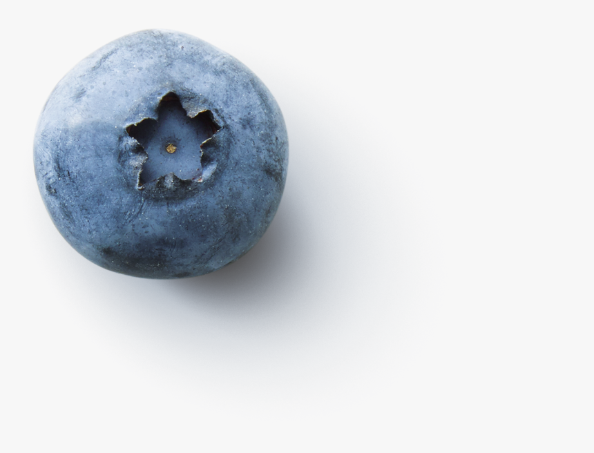 Berry Png, Transparent Png, Free Download