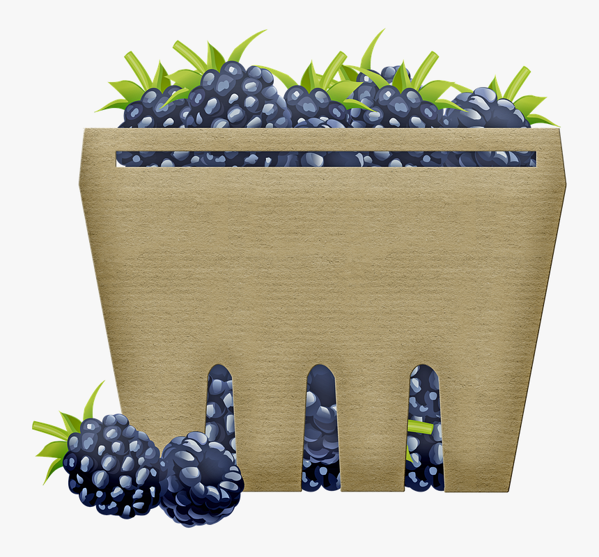 Blueberry, HD Png Download, Free Download