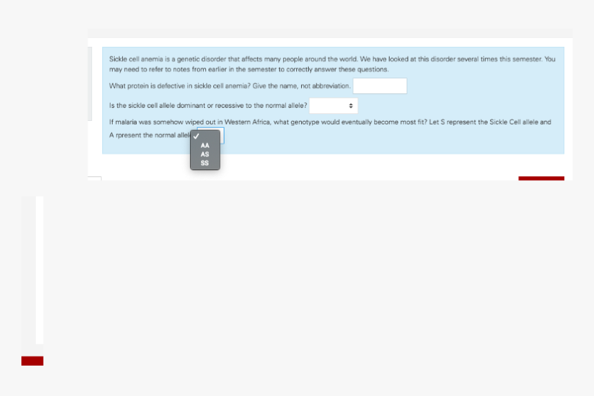 Screenshot, HD Png Download, Free Download