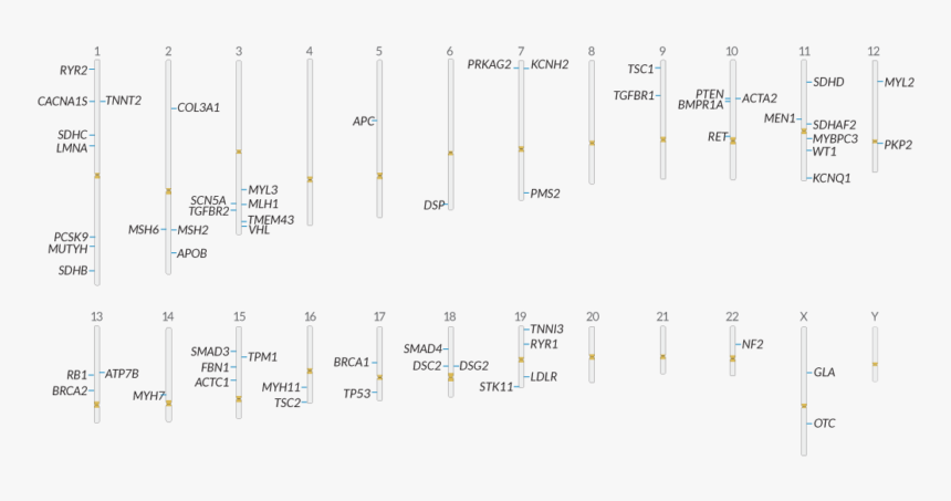 Diagram, HD Png Download, Free Download