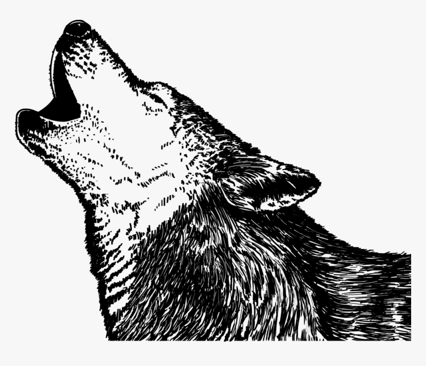 Wolf, HD Png Download, Free Download