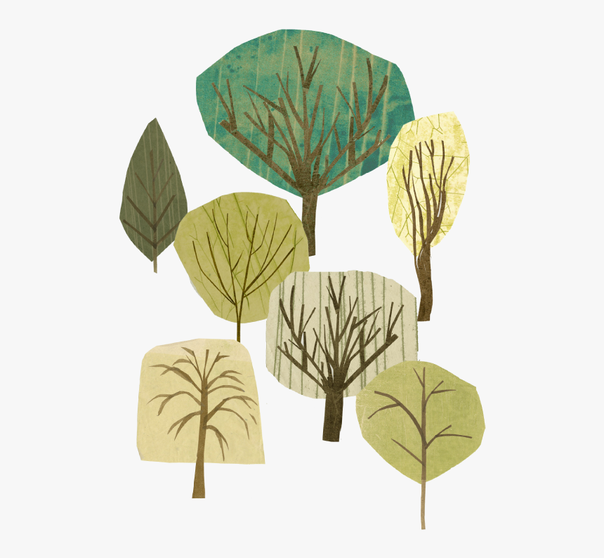 Tree Illustrations By Julie Benda - Beech, HD Png Download, Free Download